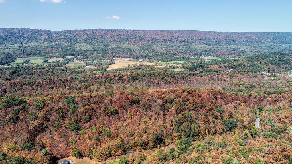 1672 Chess Club Road James Creek, PA 16657 - Photo 66 of 73 Gallery Image 66