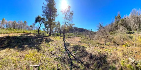 $595,000 | 11035 Empire Grade, Santa Cruz, CA 95060