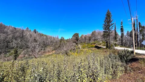 $595,000 | 11035 Empire Grade, Santa Cruz, CA 95060