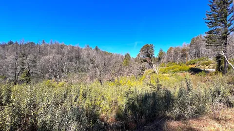 $595,000 | 11035 Empire Grade, Santa Cruz, CA 95060