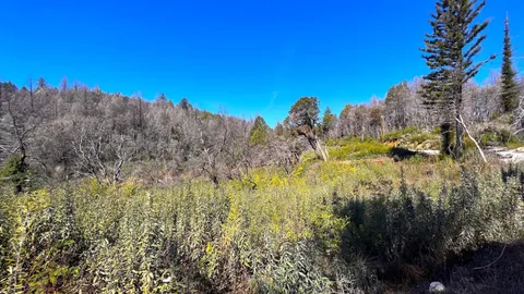 $595,000 | 11035 Empire Grade, Santa Cruz, CA 95060