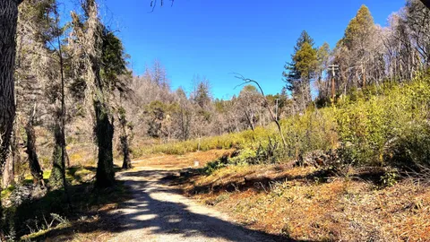 $595,000 | 11035 Empire Grade, Santa Cruz, CA 95060