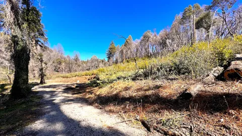 $595,000 | 11035 Empire Grade, Santa Cruz, CA 95060