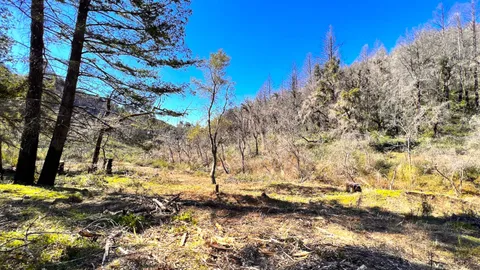 $595,000 | 11035 Empire Grade, Santa Cruz, CA 95060