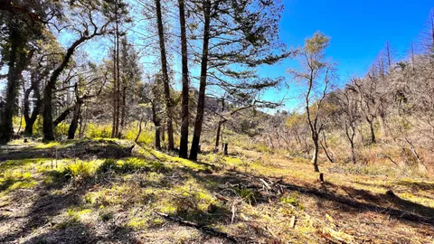 $595,000 | 11035 Empire Grade, Santa Cruz, CA 95060