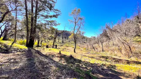 $595,000 | 11035 Empire Grade, Santa Cruz, CA 95060