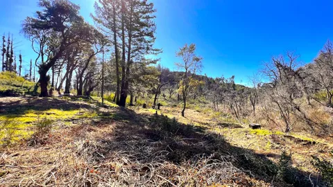 $595,000 | 11035 Empire Grade, Santa Cruz, CA 95060