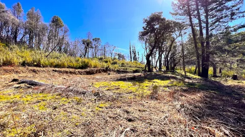 $595,000 | 11035 Empire Grade, Santa Cruz, CA 95060