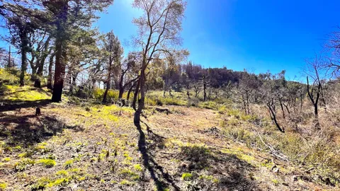 $595,000 | 11035 Empire Grade, Santa Cruz, CA 95060