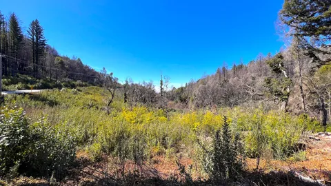 $595,000 | 11035 Empire Grade, Santa Cruz, CA 95060