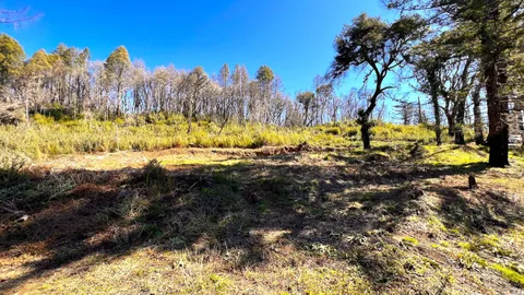 $595,000 | 11035 Empire Grade, Santa Cruz, CA 95060