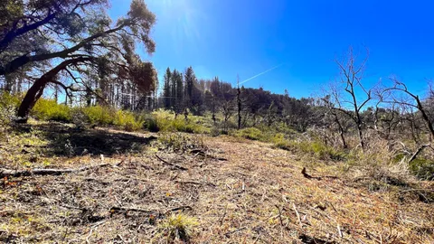 $595,000 | 11035 Empire Grade, Santa Cruz, CA 95060