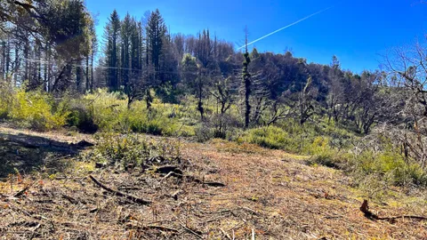 $595,000 | 11035 Empire Grade, Santa Cruz, CA 95060