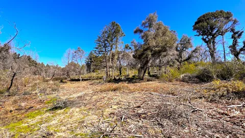 $595,000 | 11035 Empire Grade, Santa Cruz, CA 95060