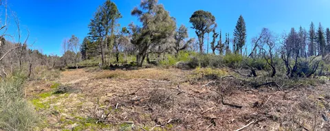 $595,000 | 11035 Empire Grade, Santa Cruz, CA 95060