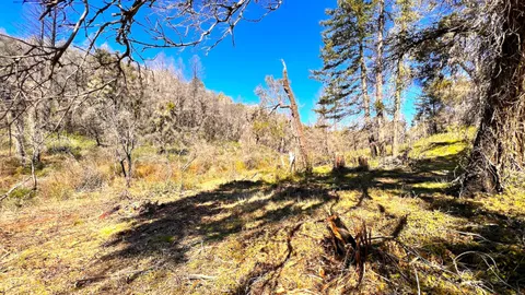 $595,000 | 11035 Empire Grade, Santa Cruz, CA 95060