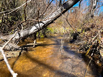 $595,000 | 11035 Empire Grade, Santa Cruz, CA 95060