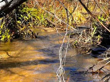 $595,000 | 11035 Empire Grade, Santa Cruz, CA 95060