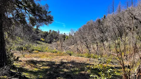 $595,000 | 11035 Empire Grade, Santa Cruz, CA 95060