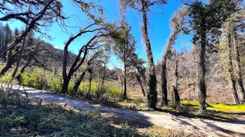 $595,000 | 11035 Empire Grade, Santa Cruz, CA 95060