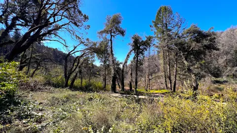 $595,000 | 11035 Empire Grade, Santa Cruz, CA 95060