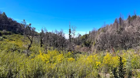 $595,000 | 11035 Empire Grade, Santa Cruz, CA 95060