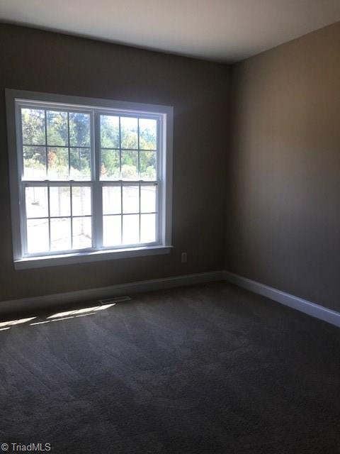942 Wright Country Road Ramseur, NC 27316 - Photo 23 of 23