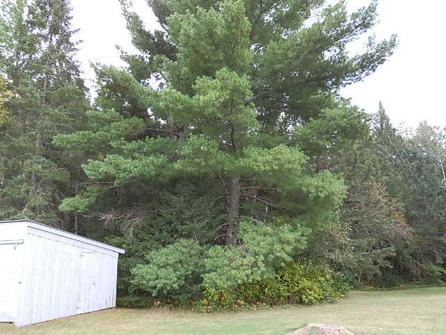 N13412 Highway 13 Fifield, WI 54524 - Photo 5 of 18 Gallery Image 5