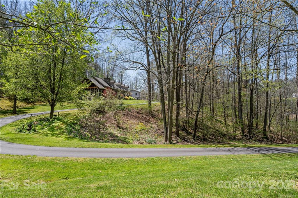 234 Sam Fox Road Mars Hill, NC 28754 - Photo 42 of 45 Gallery Image 42
