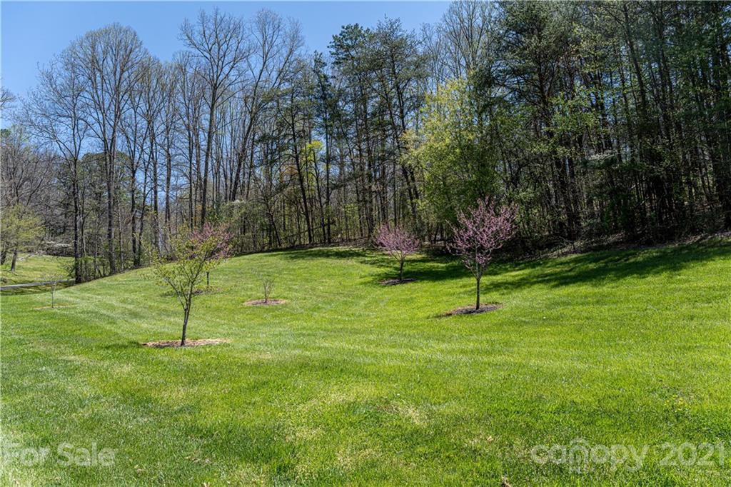 234 Sam Fox Road Mars Hill, NC 28754 - Photo 43 of 45 Gallery Image 43