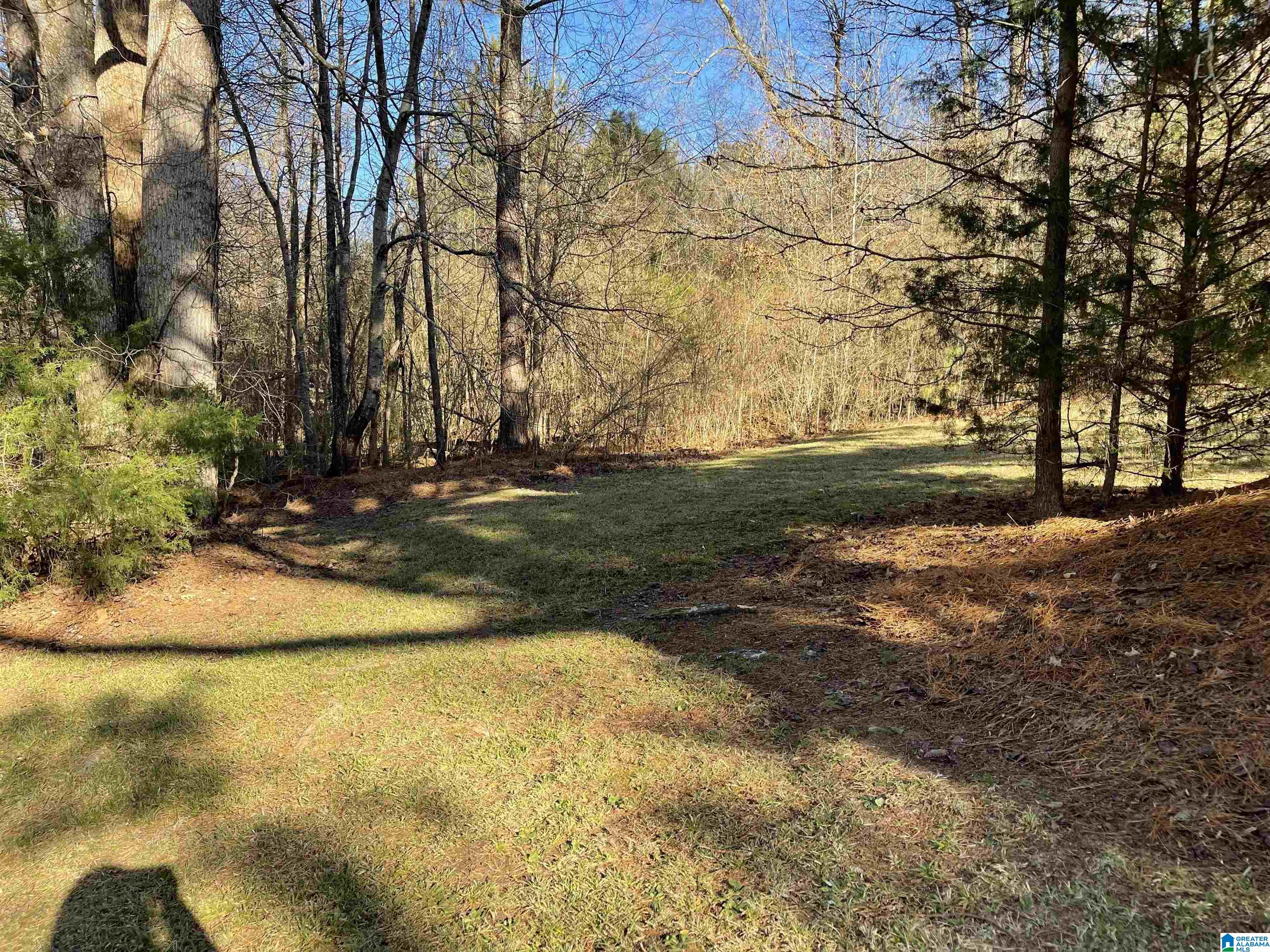 7850 Joy Road Blountsville, AL 35031 - Photo 3 of 19
