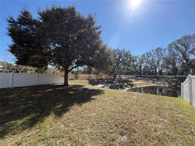 a view of yard with tree