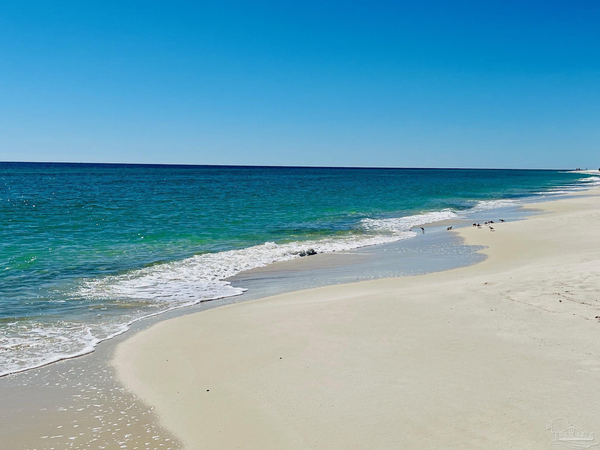 16287 Perdido Key Drive, Unit 203 Perdido Key, FL 32507 - Photo 44 of 57