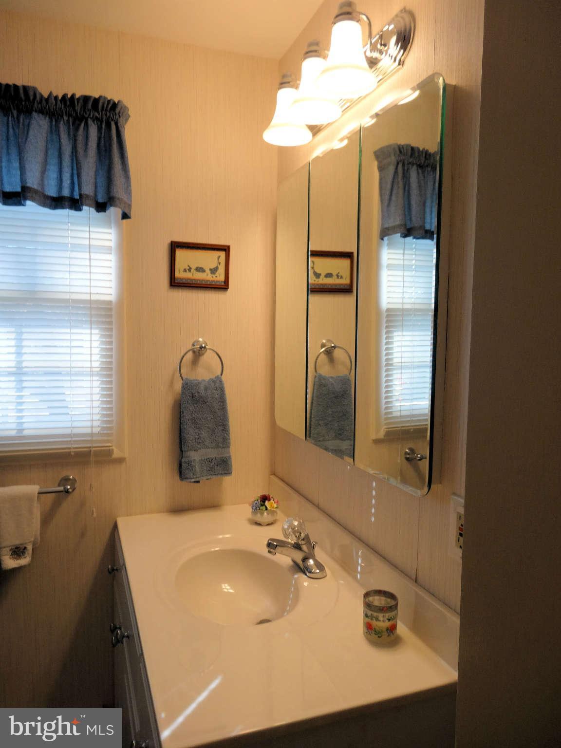19001 Muncaster Road Derwood, MD 20855 - Photo 21 of 30 Hall Full Bath view two