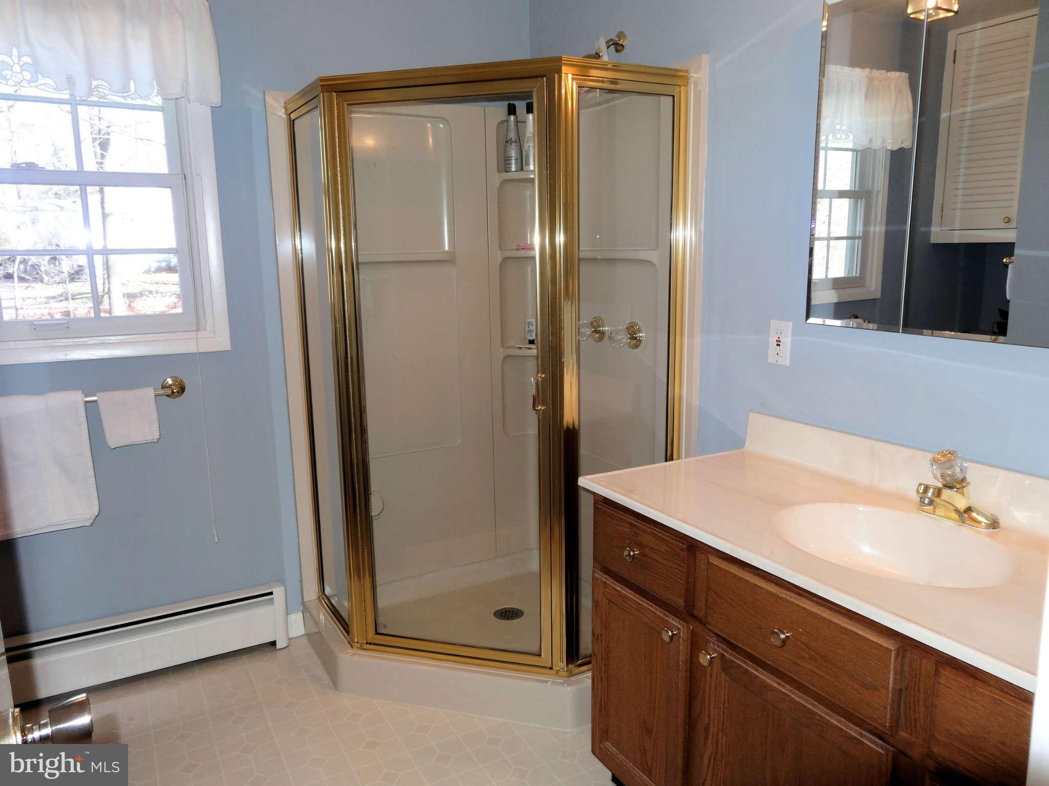 19001 Muncaster Road Derwood, MD 20855 - Photo 22 of 30 Bath (Master)