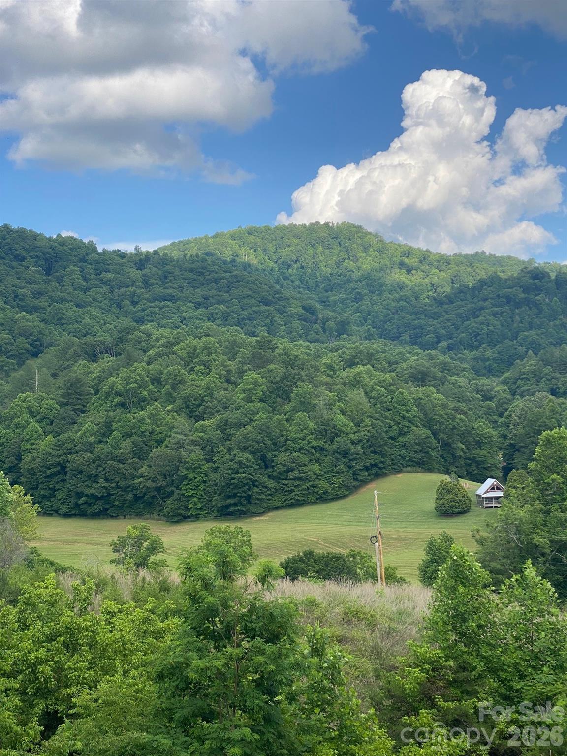 0 East Fork Road Marshall, NC 28753 - Photo 9 of 22