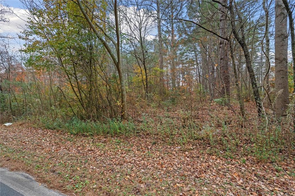 231 Buncombe-Waco Road Waco, GA 30182 - Photo 2 of 2 a view of a yard with trees