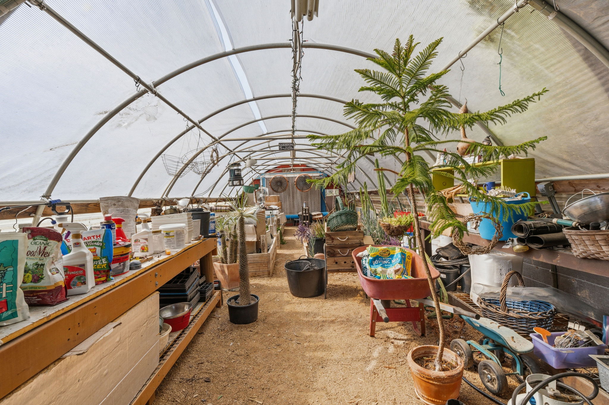 250 Gant Road Dripping Springs, TX 78620 - Photo 23 of 30 Greenhouse