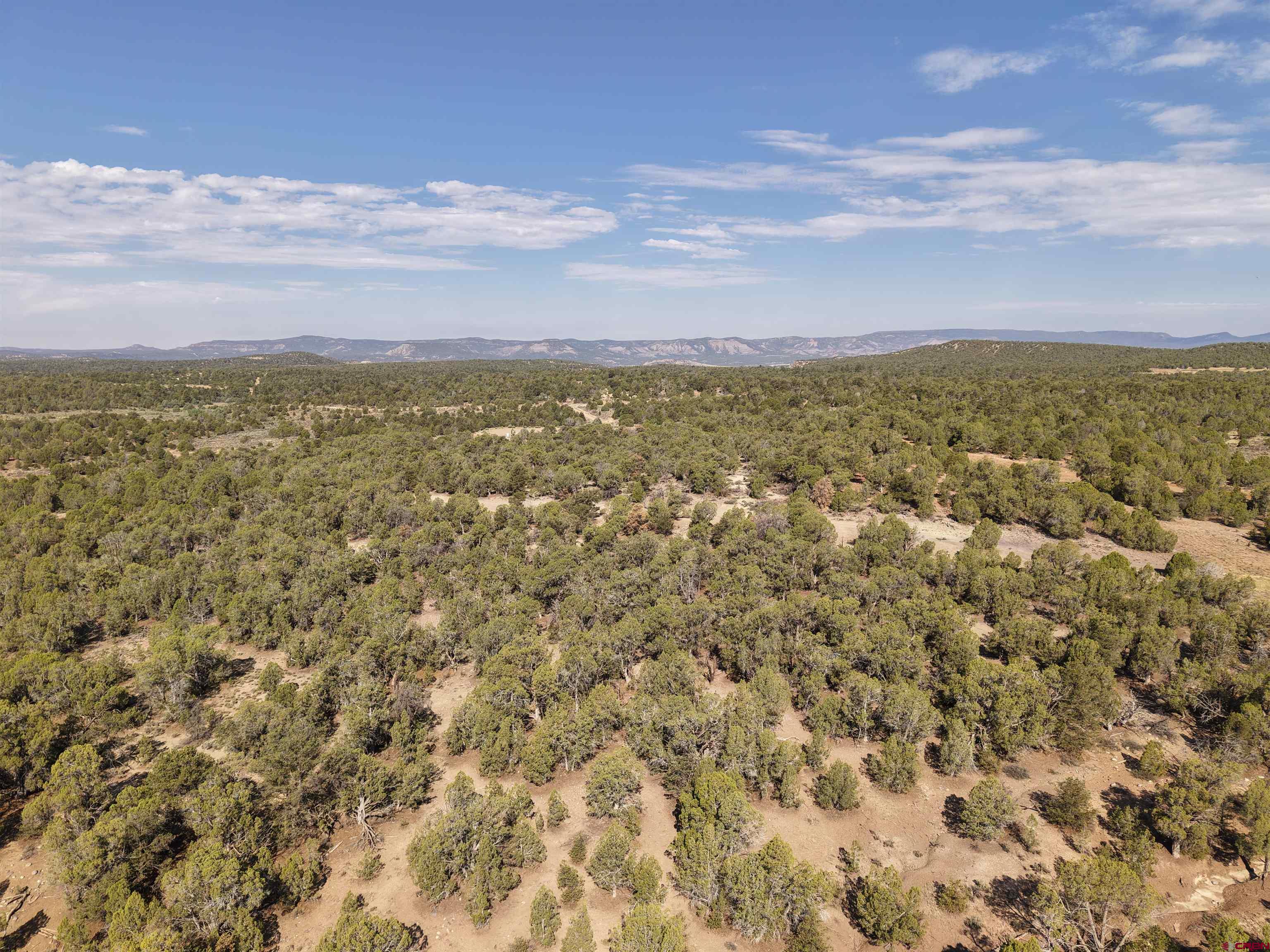 310 Ignacio Co 81137 Ignacio, CO 81137 - Photo 9 of 25