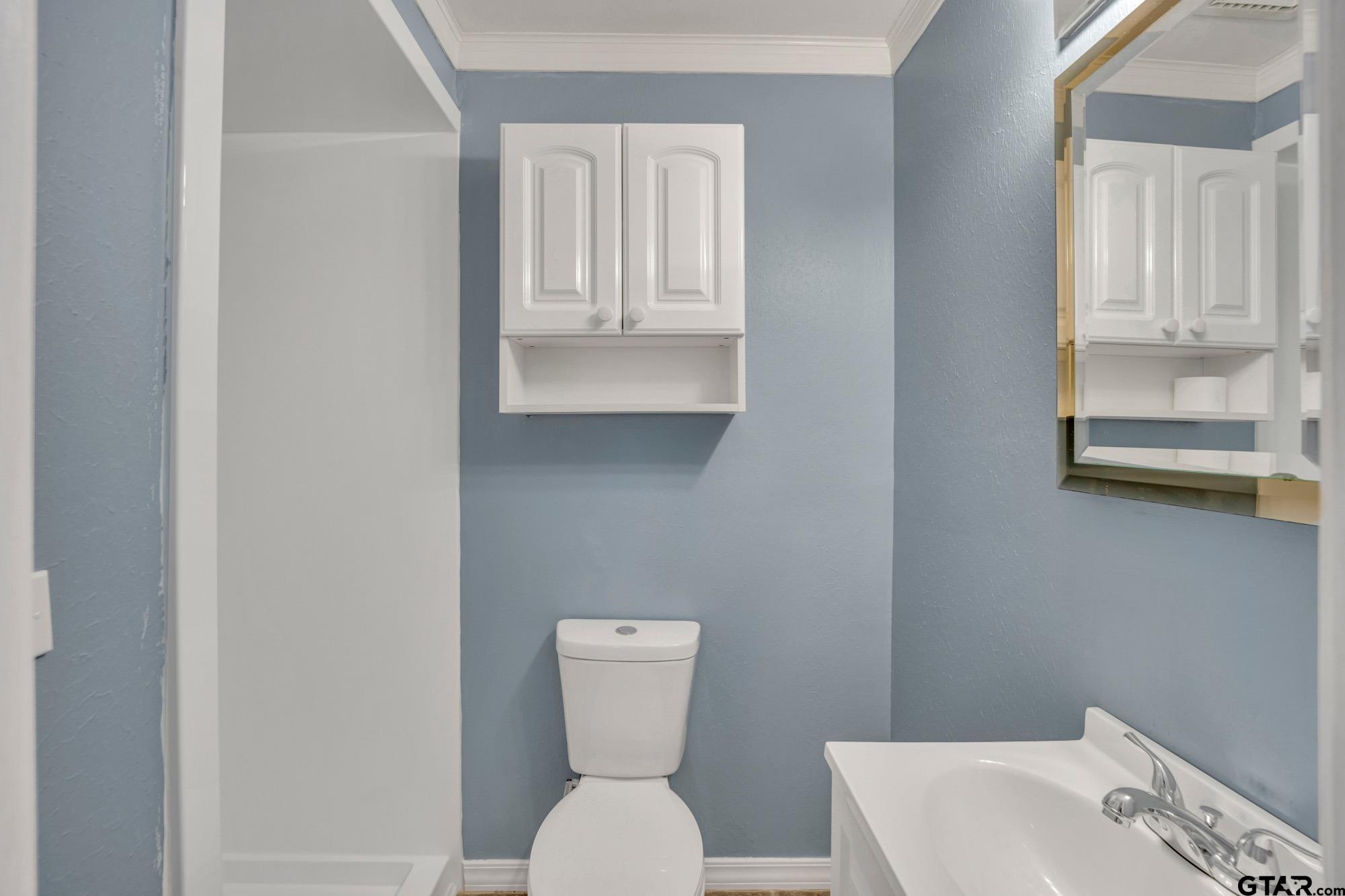 3743 Smelley Road Longview, TX 75605 - Photo 21 of 25 a bathroom with a toilet a sink and mirror