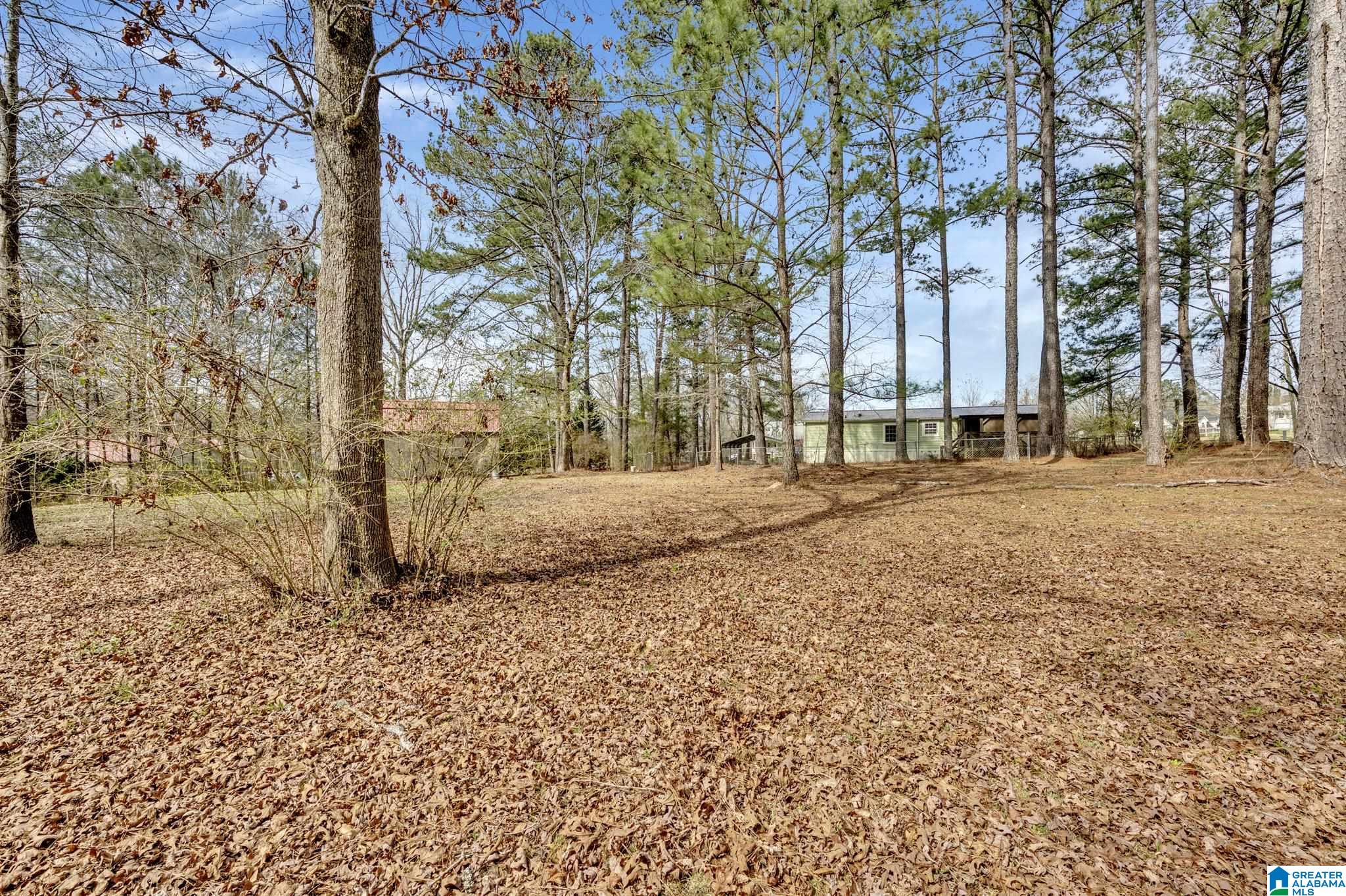 8844 County Road 51 Sterrett, AL 35147 - Photo 31 of 31