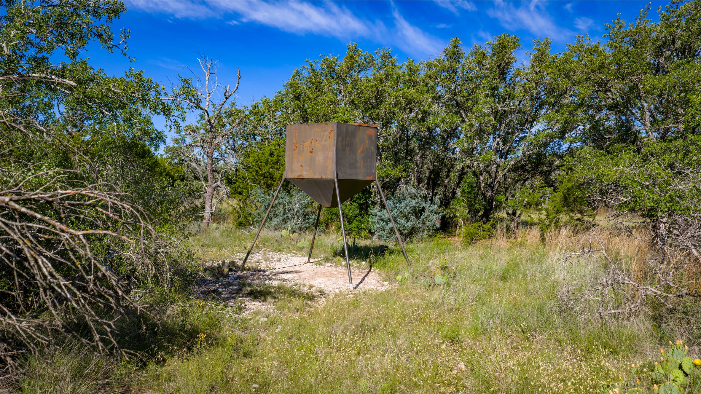 3276 Link Road Doss, TX 78618 - Photo 12 of 35 a view of a garden