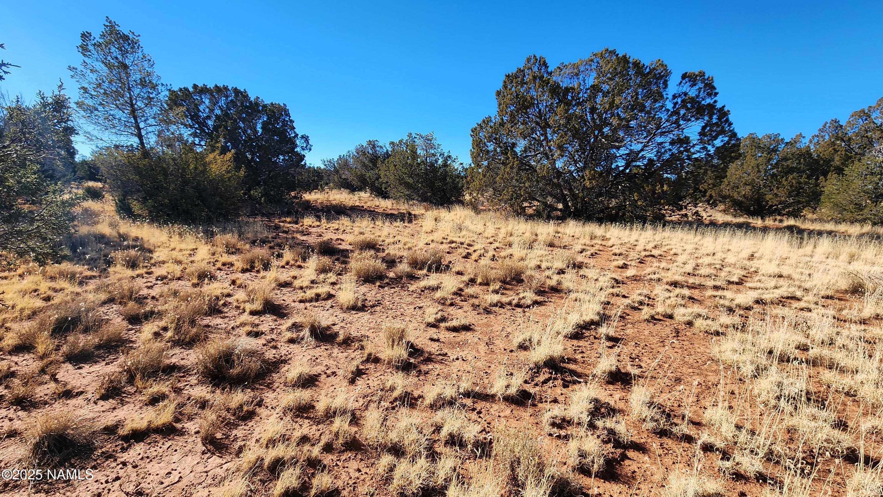 3372 East Valencia Road Williams, AZ 86046 - Photo 22 of 34 1000023809