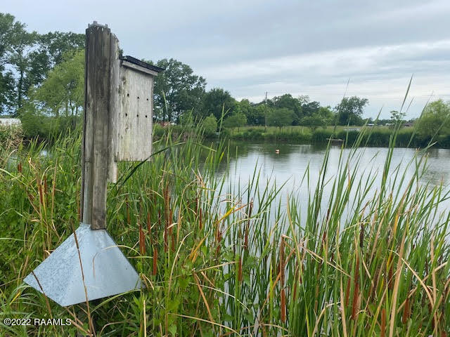 Birdbox