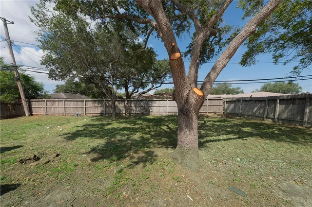 a view of backyard with wooden fence and a large tree