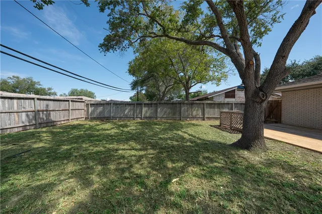 a view of a yard with a tree