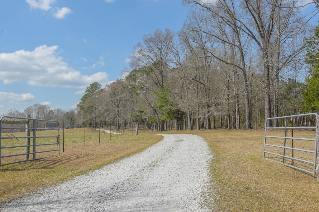 555 McNeil Road Abbeville, SC 29620 - Photo 4 of 38 Gallery Image 4