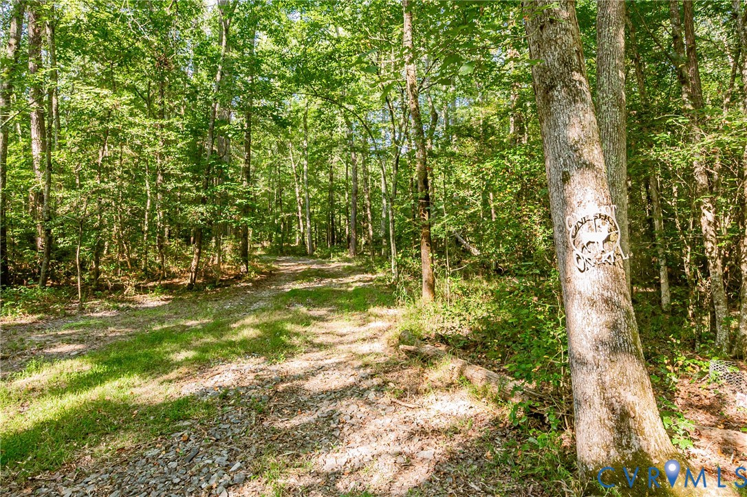 0 Barnetts Road Providence Forge, VA 23140 - Photo 20 of 37 Gallery Image 20