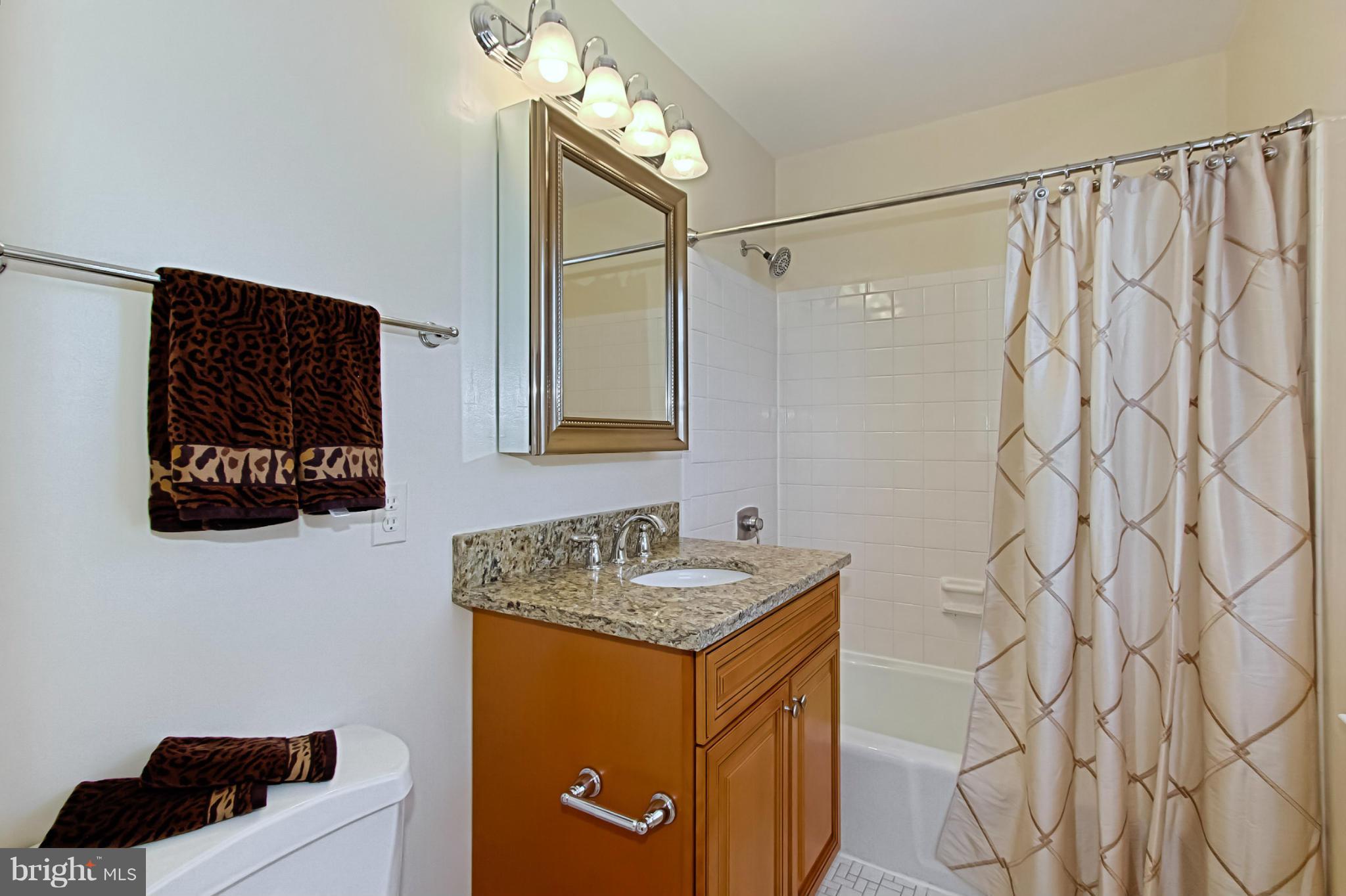 7016 Leestone Street Springfield, VA 22151 - Photo 20 of 30 Bath (Master)