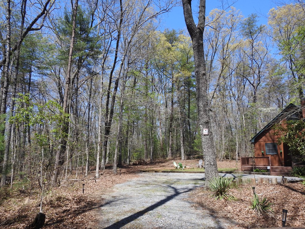 55 Deer Watch Lane Blue Ridge, GA 30513 - Photo 2 of 34 Gallery Image 2